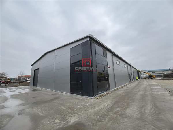 Vanzare depozit/hala/spatiu industrial chitila - centura, ilfov