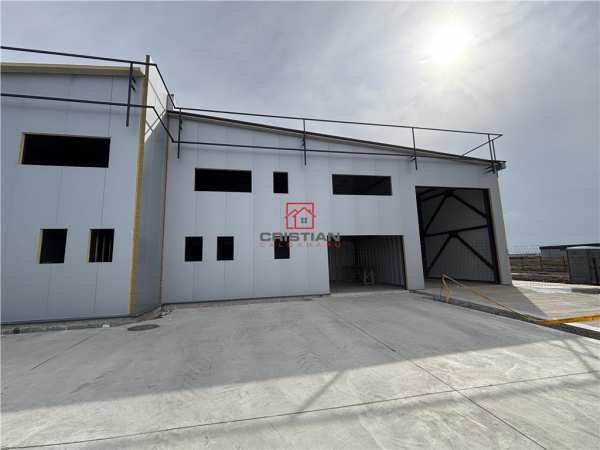 Vanzare depozit/hala/spatiu industrial domnesti - centura, ilfov