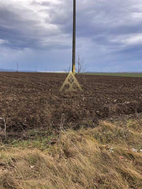 Teren pentru business 6300 mp bucium la strada principala