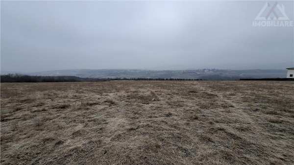 Teren intravilan 26.000 mp,visan,barnova,utilitati