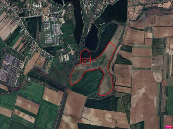 Vanzare teren extravilan agricol peris, ilfov