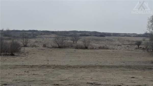 Teren intravilan 48.600 mp,lunca cetatuii,ciurea iasi