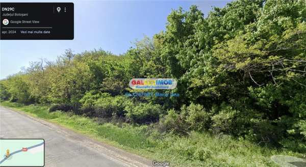 Teren padure 6.500 mp., la strada, zona cucorani!