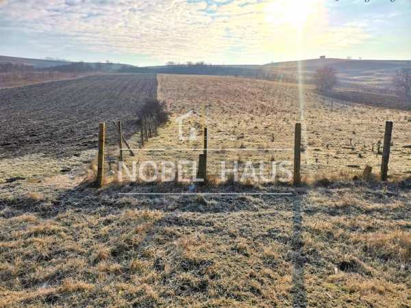Teren intravilan 1041 mp, grivita, pentru constructii