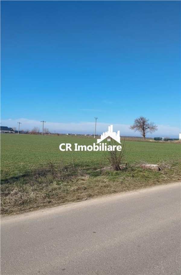 Teren in ciolpani cu pozitie si pret bun, pretabil pentru constructie si investitie