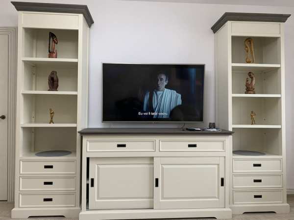 Ap 2 camere in tomesti, renovat lux-400 euro
