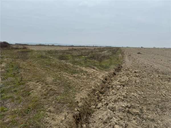 Reco teren intravilan in cheriu