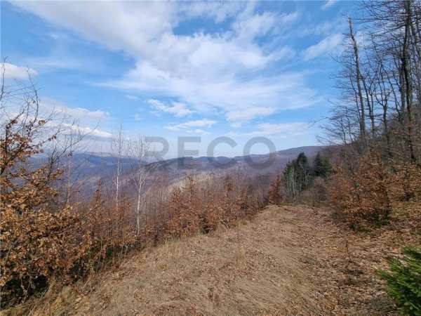 Reco teren forestier de vanzare, in exclusivitate, sat munteni