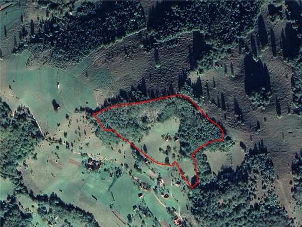 Reco teren intravilan si teren forestier de vanzare, sat munteni