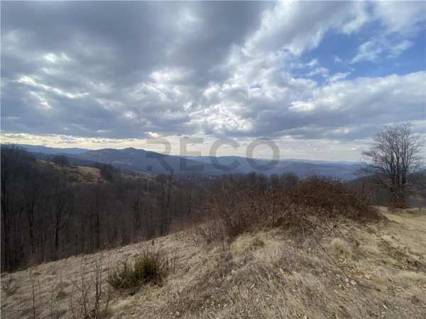 Reco teren forestier de vanzare, in exclusivitate, sat munteni