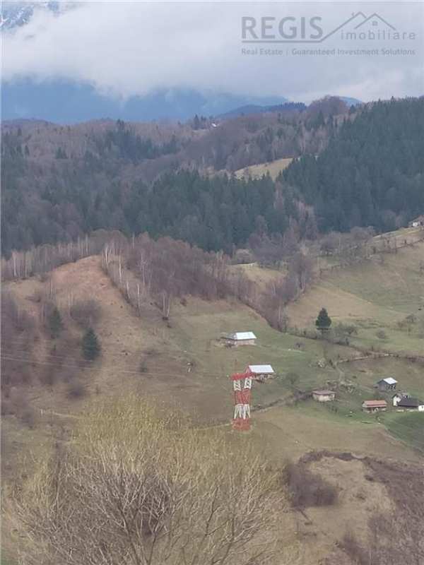Teren, zona de interes turistic-cheile gradistei,  8800mp